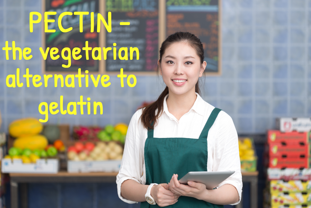 Gelatin free vitamins the pectin alternative ActiKid Blog blog